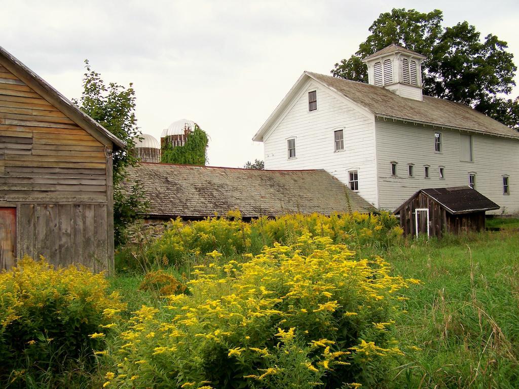 Saratoga Farmstead B&B Saratoga Springs Esterno foto