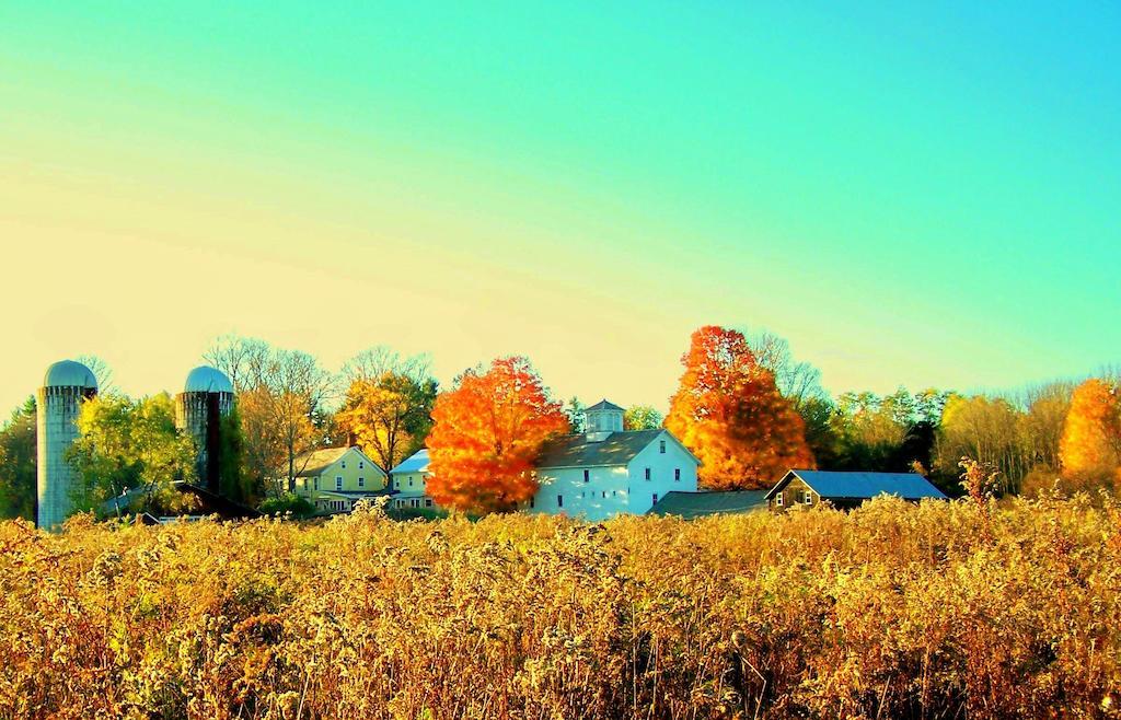 Saratoga Farmstead B&B Saratoga Springs Esterno foto