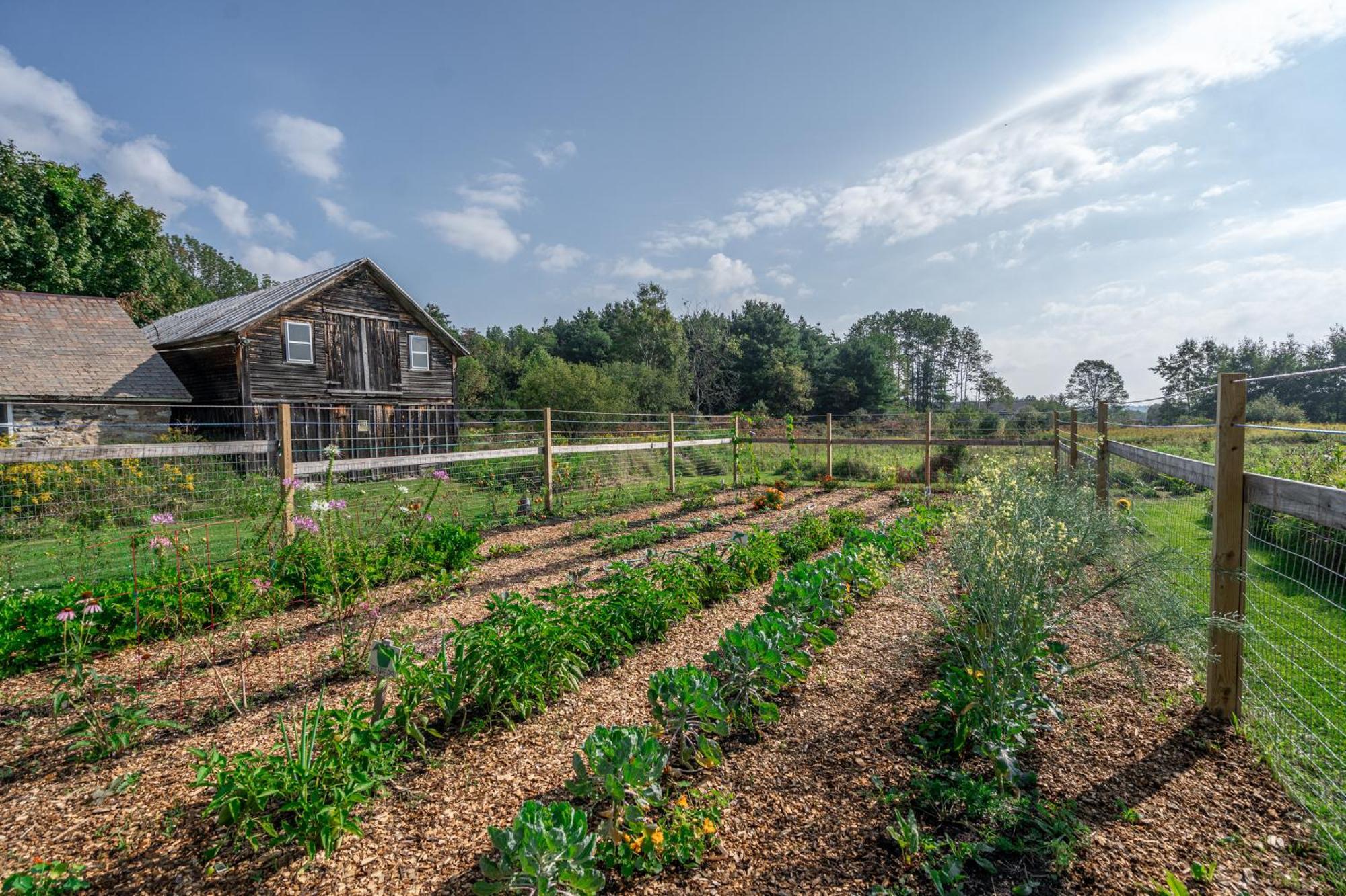 Saratoga Farmstead B&B Saratoga Springs Esterno foto