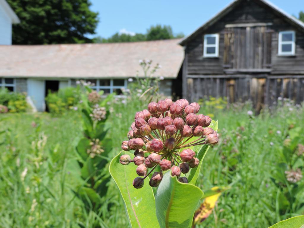 Saratoga Farmstead B&B Saratoga Springs Esterno foto